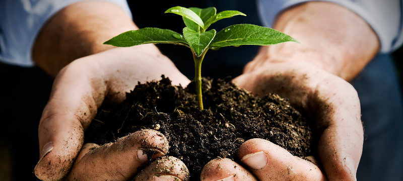 initiative-ecologique-urbaine